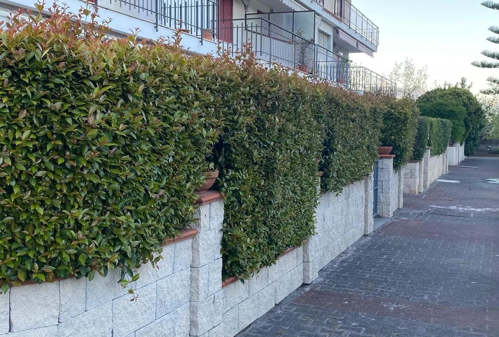 Appartamento Casa Carmelina Mascali